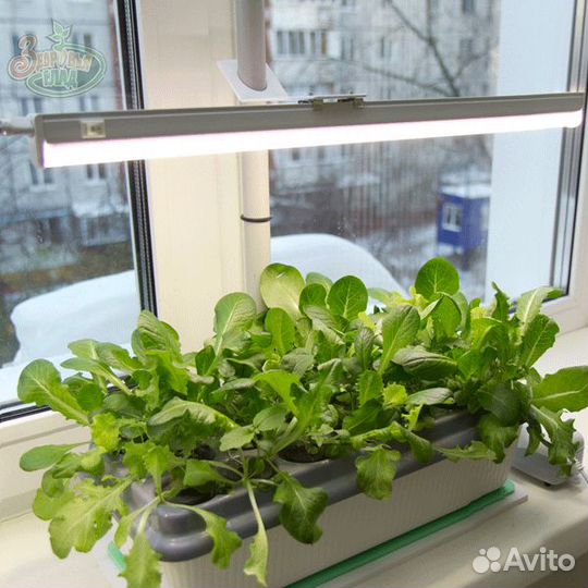 Фитосветильник растущий светильник 16 Вт