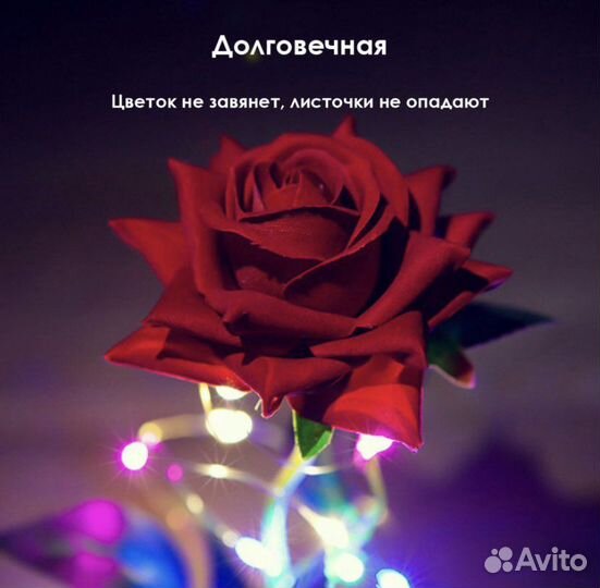 Вечная роза в колбе