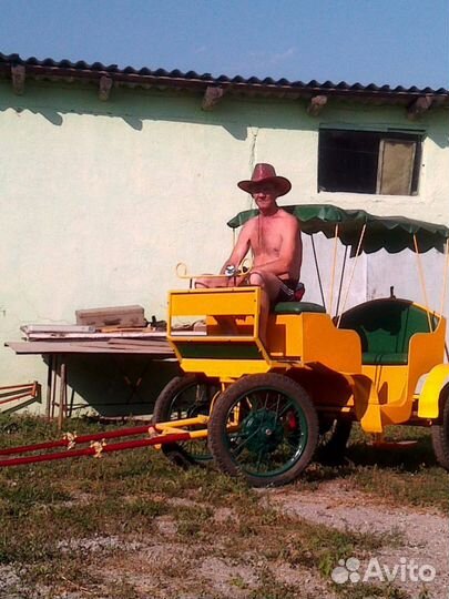 Мини лошадь английская