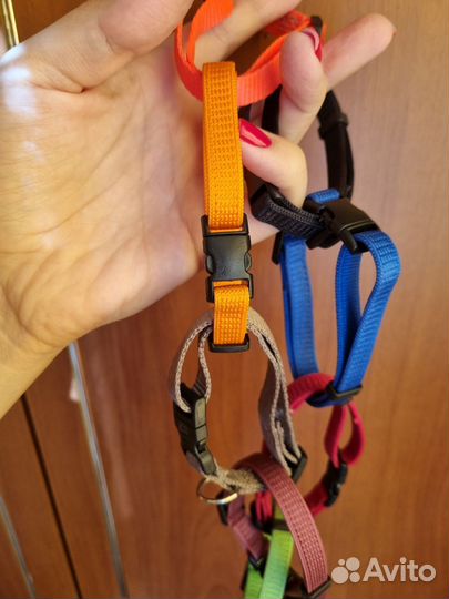 Ошейники для щенков