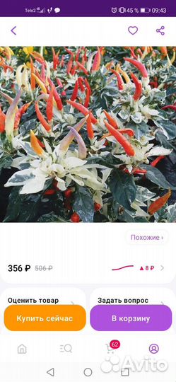 Семена перчик Ушу вариегатный