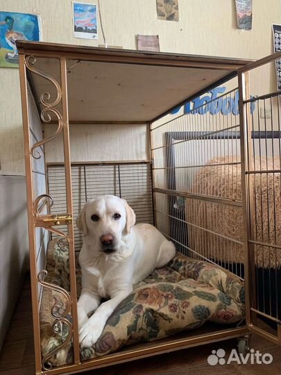 Клетка вольер для большой собаки
