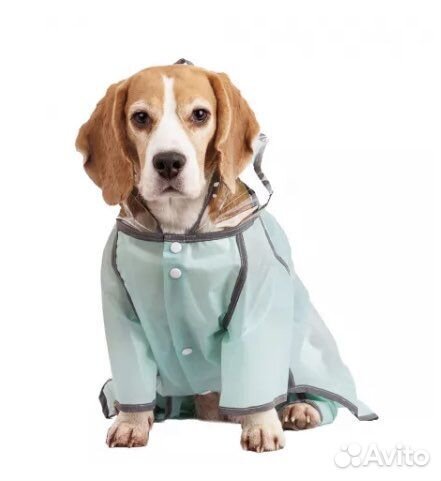 Дождевик для собак средних пород унисекс