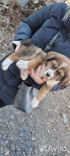 Первая малышка