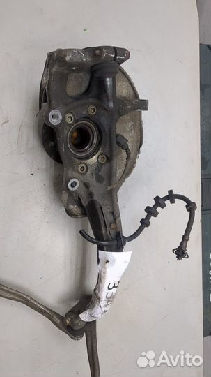 Ступица (кулак, цапфа) Audi A4 (B8), 2009