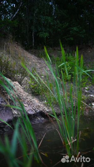 Сап-прогулки Раменское