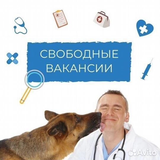 Ветеринарный врач на выезде
