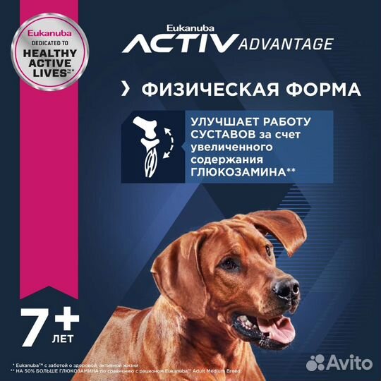 Корм Eukanuba корм для крупных пожилых собак с кур