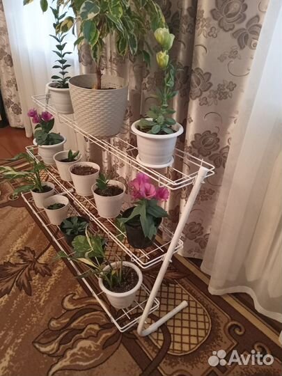 Подставка для рассады и цветов на подоконник