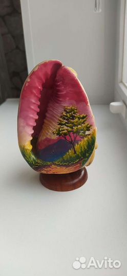 Ракушка морская,сувенир с Кубы