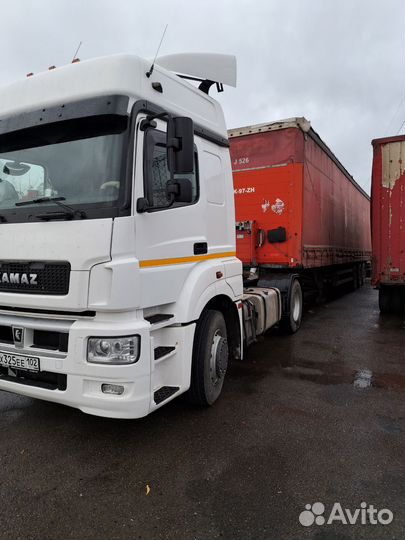 КамАЗ 5490 NEO, 2016