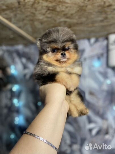 Мальчишечка