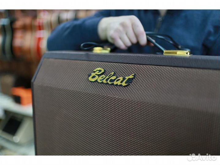Belcat Acoustic-25RC комбоусилитель для электроак