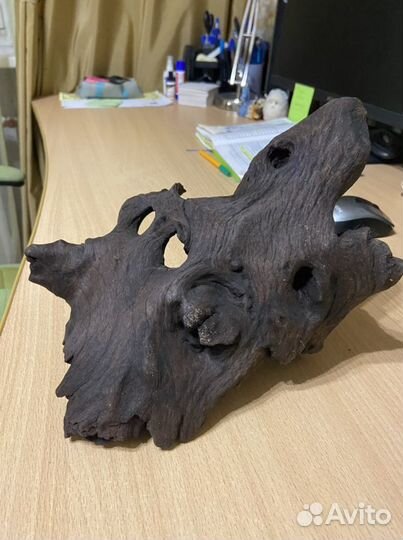 Товары для рыбок