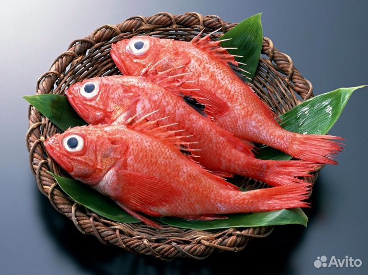 Рыбный магазин с клиентами — готовый бизнес