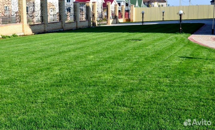 Газон дачный, от производителя