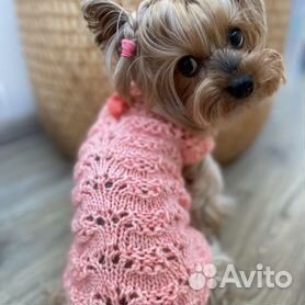 Купить одежду для собак мелких пород в интернет магазине sunnyhair.ru
