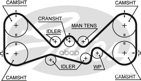Ремень грм 5384XS Gates