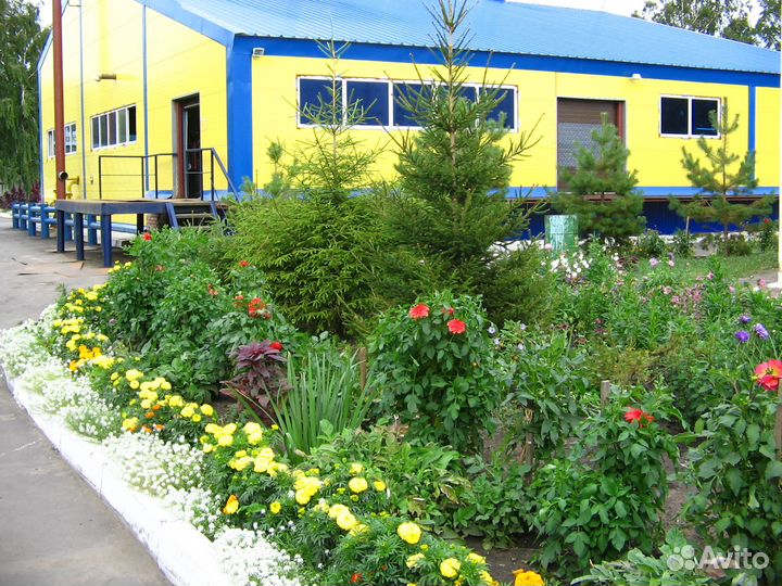 Системный администратор