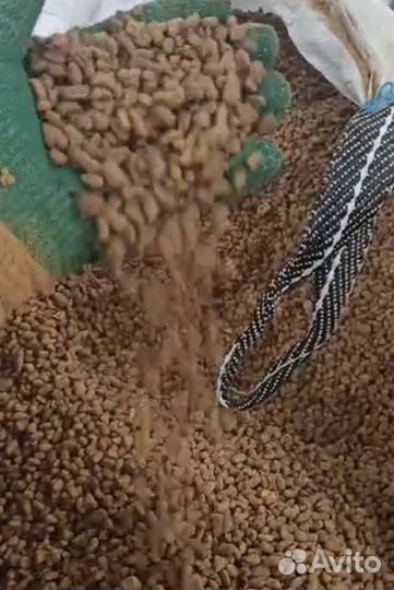 Сухой корм для кошек и собак