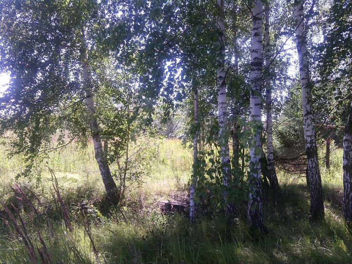 Дом 300 м² на участке 28 сот.