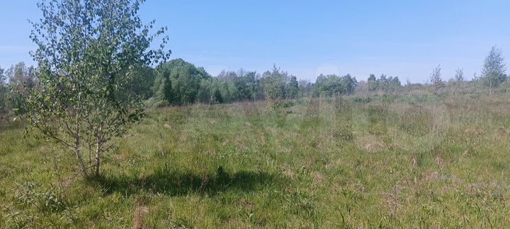 Участок 10 сот. (ИЖС)