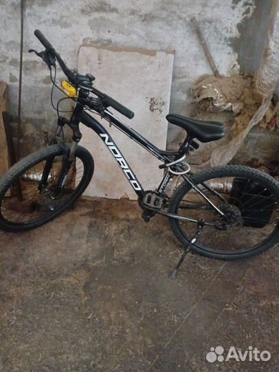 Взросли норко