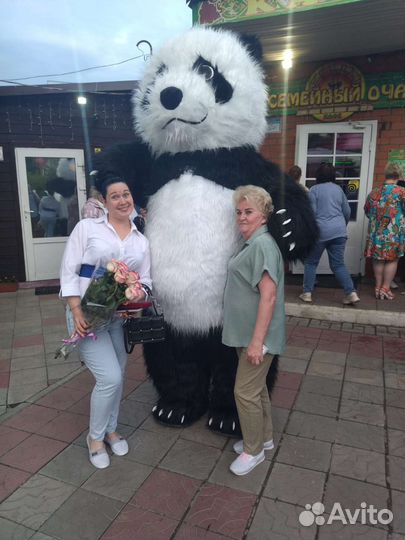 Весёлое экспресс поздравление Панды с дядей Колей