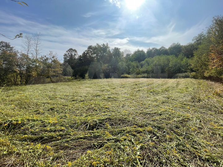 Участок 51 сот. (СНТ, ДНП)