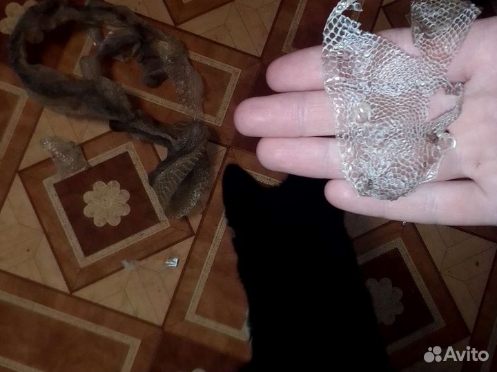 Выползень змеи 2м