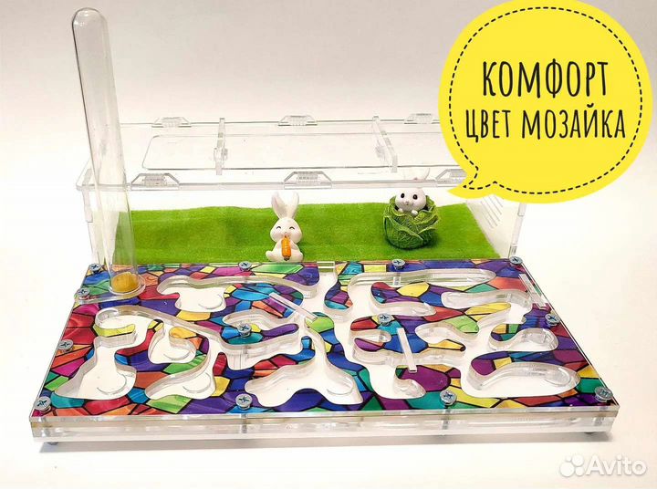 Муравьиная ферма новая