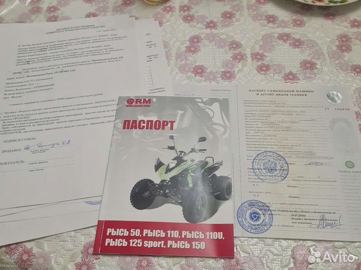 Рысь 125