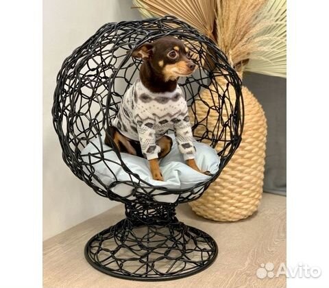 Домик для животных Бетти 1