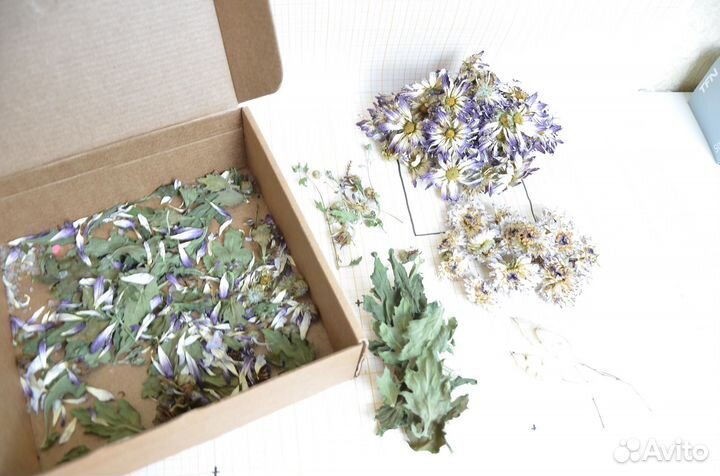 Сухоцветы для творчества, объемные