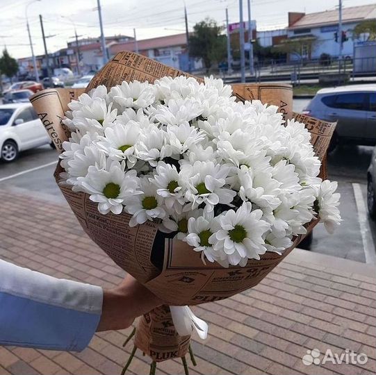 Хризантема Букеты доставка цветов