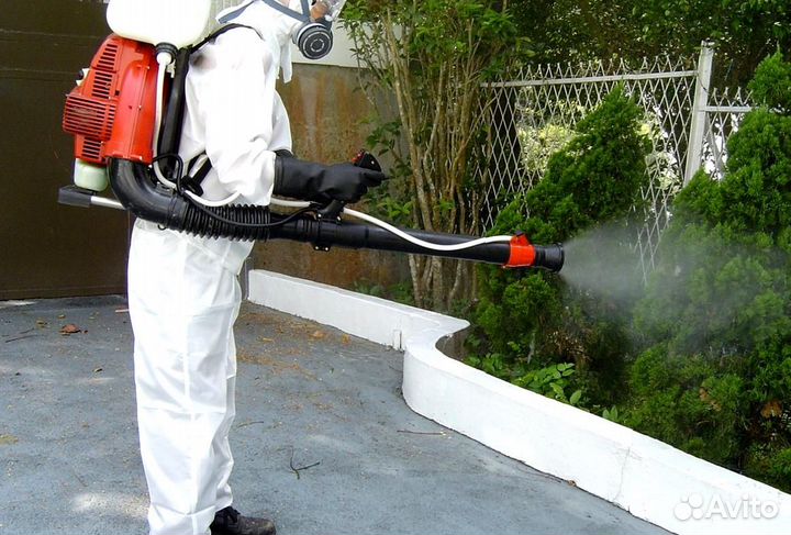 Уничтожение клопов тараканов грибка плесени