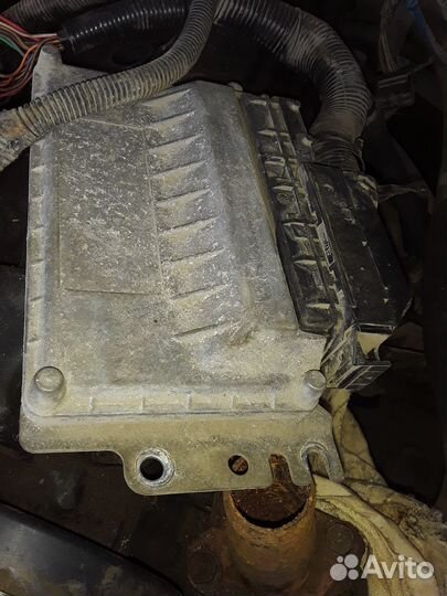 Электропроводка Волга 31105