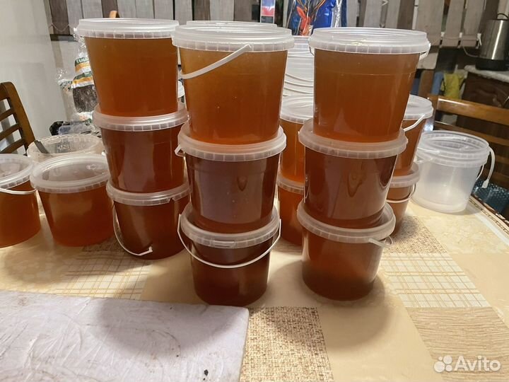 Мёд таежный. Мед натуральный, перга