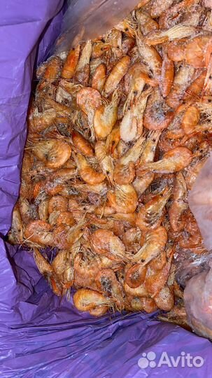 Крымская креветка