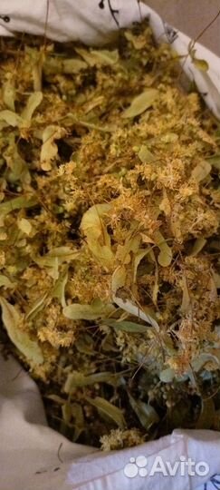 Липовый цвет сушеный