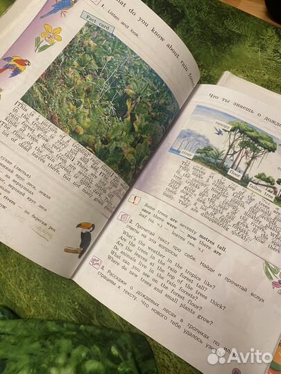 Учебник по английскому языку 4 класс Forward