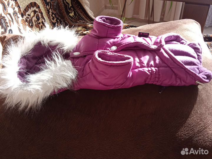 Курточка для тойчика, девочки по спинке 23 см