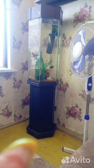 Аквариум с тумбой бу