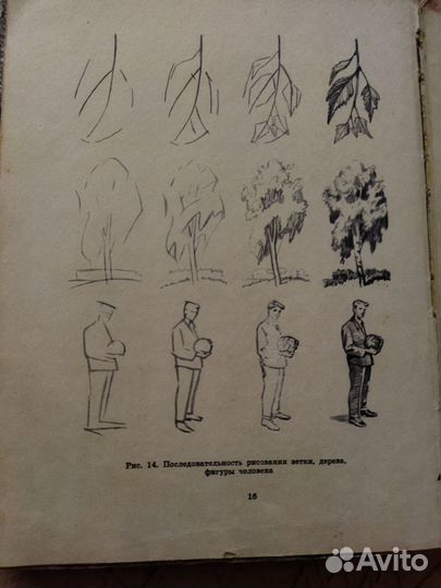 Книга рисование 5 класс