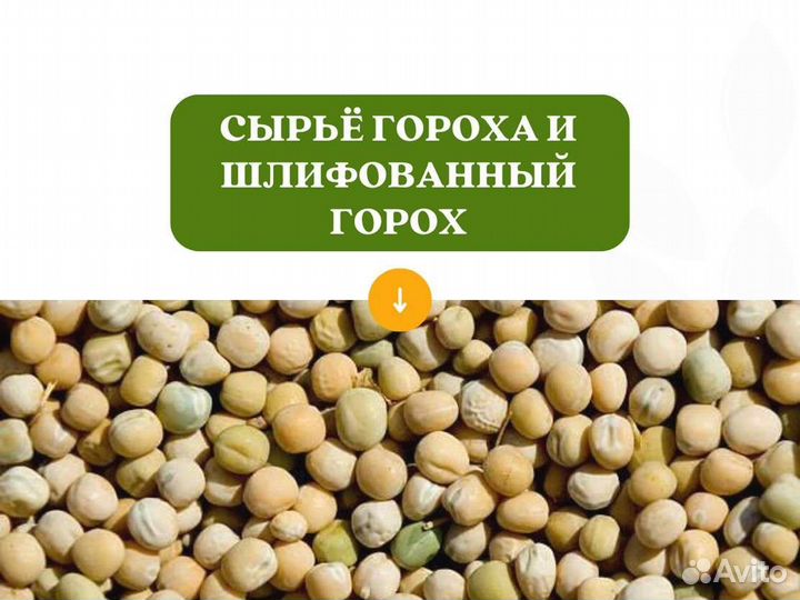 Горох с поля (сырье) (кг)