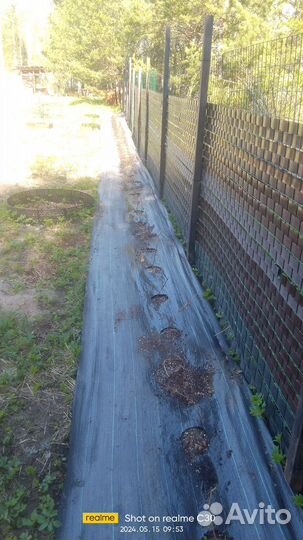 Благоустройство участка