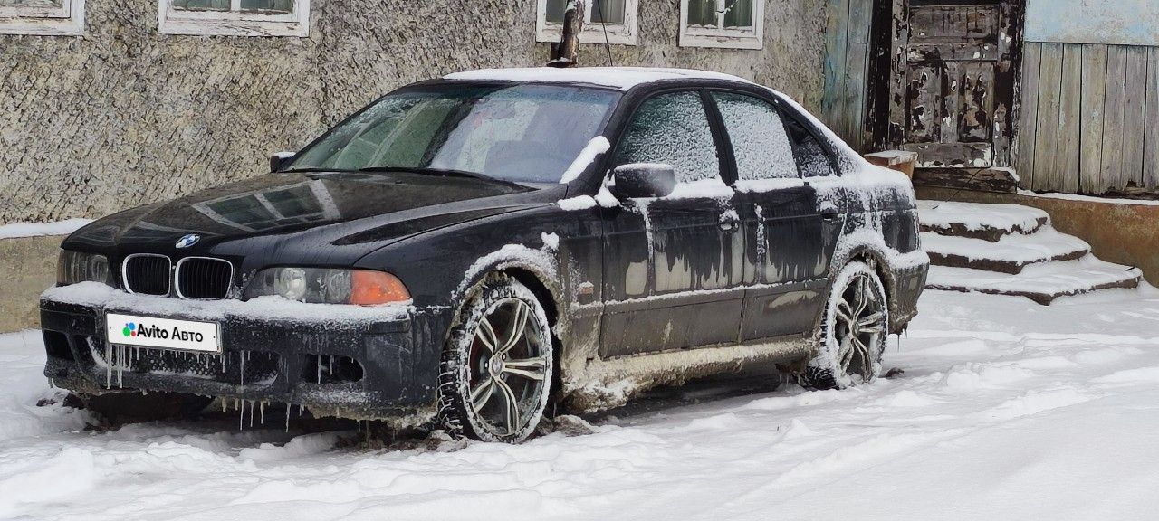 BMW 5 серия: фото владельца
