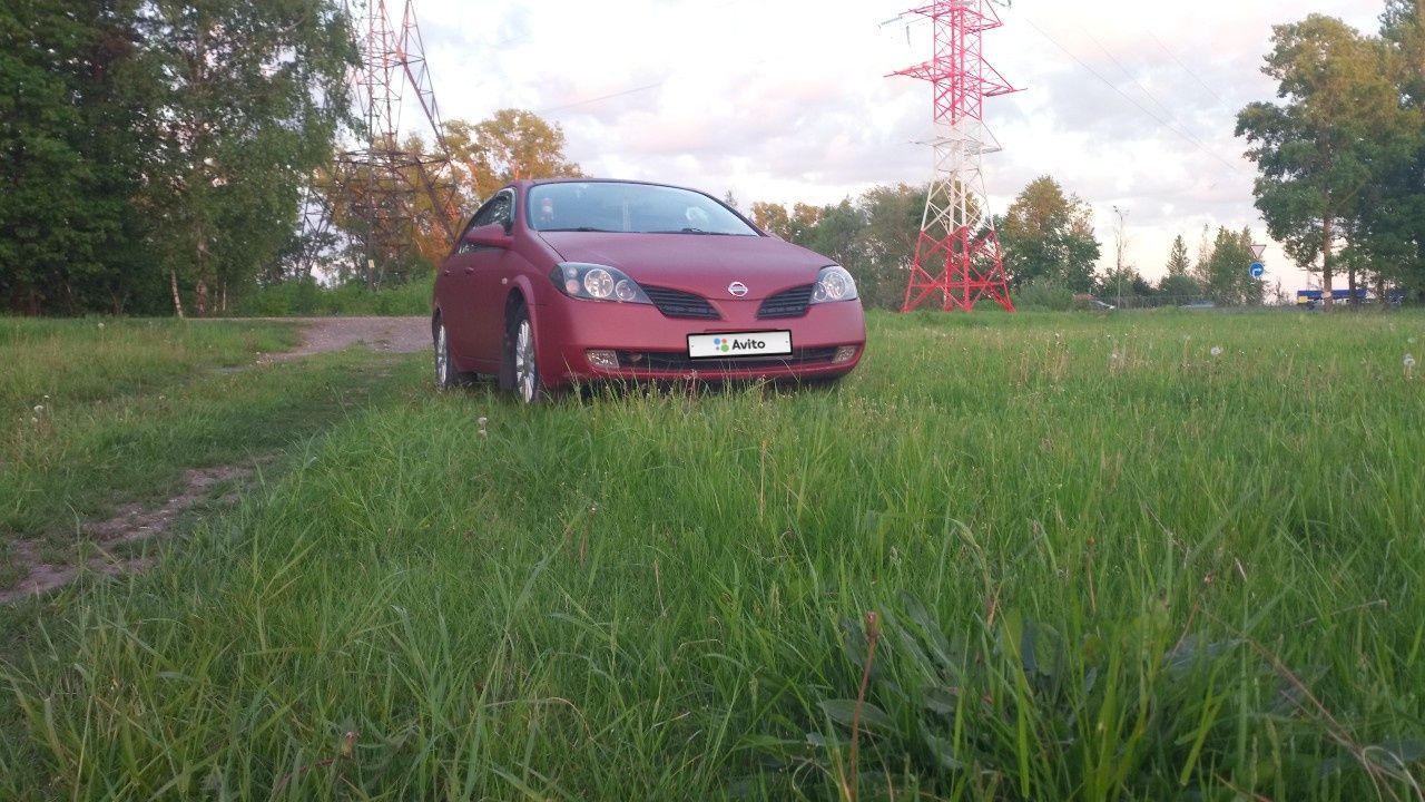 Nissan Primera: фото владельца