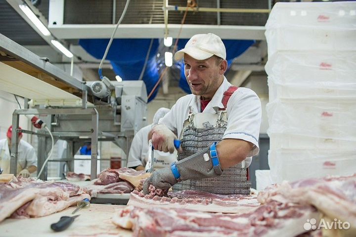 Грузчик разнорабочий с ежедневной оплатой