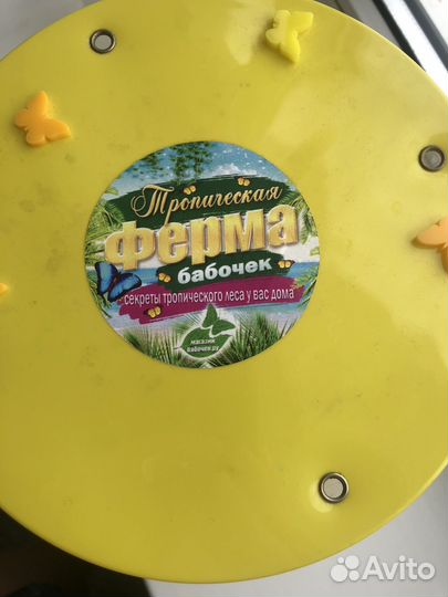 Бабочкарий